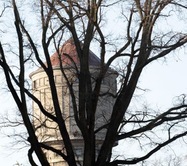 IMG_1177