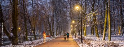 Widok na aleję parkową zimą