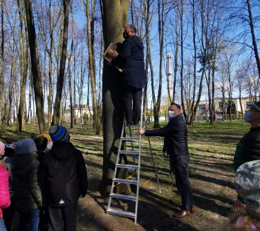 W parku miejskim na drabinie opartej o drzewo stoi dyrektor SP nr 3 z budką dla ptaków w ręku. Drabinę podtrzymuje...