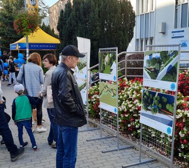 Piknik Human Smart City