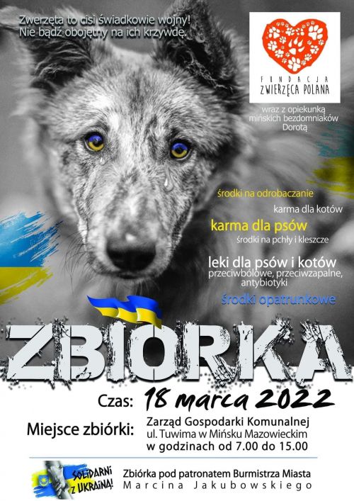 Zbiórka dla zwierząt przebywających w ukraińskich schroniskach