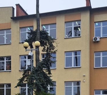 Na zewnątrz, pochmurny dzień. Zdjęcie szkoły przed którą stoi drzewo, krzew i latarnia z zamontowanym monitoringiem