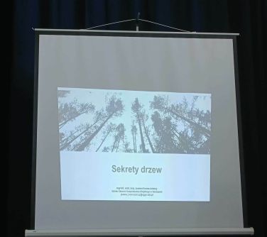 roll-up na którym wyświetlana jest treść Sekrety drzew