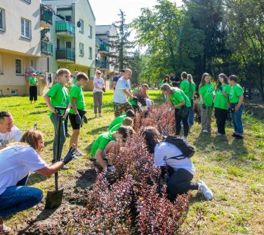 grupa osób sadzi krzewy, po lewej stronie łopata wbita w ziemię, w tle dzieci i dorosli stoją, w tle po lewej stronie blok,...