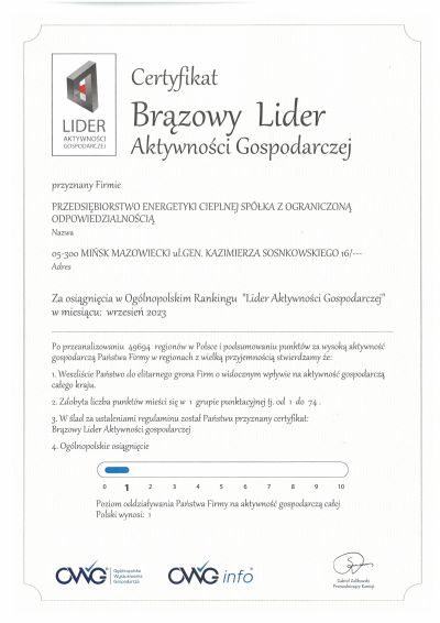 Certyfikat Brązowy Lider Aktywności Gospodarczej, na dole loga
