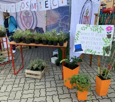 namiot ze stolikami na których stoją sadzonki, na przodzie namiotu u góry zaczepione kartki z napisem elektrośmieci, przed...
