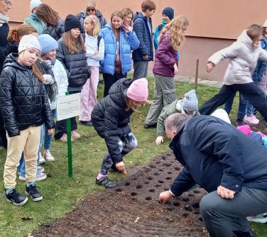 na trawie osoby, po środku skopana ziemia, zrobione dziurki, osoby sadzą sadzonki