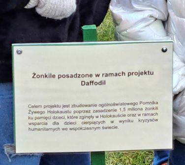 zdjęcie tabliczki z tytułem żonkile posadzone w ramach projektu Daffodil