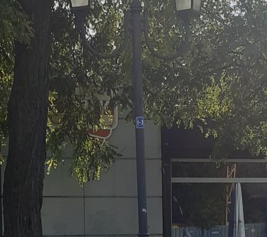 Na dworze. Dzień. Latarnia z dwoma kloszami przy drzewie.