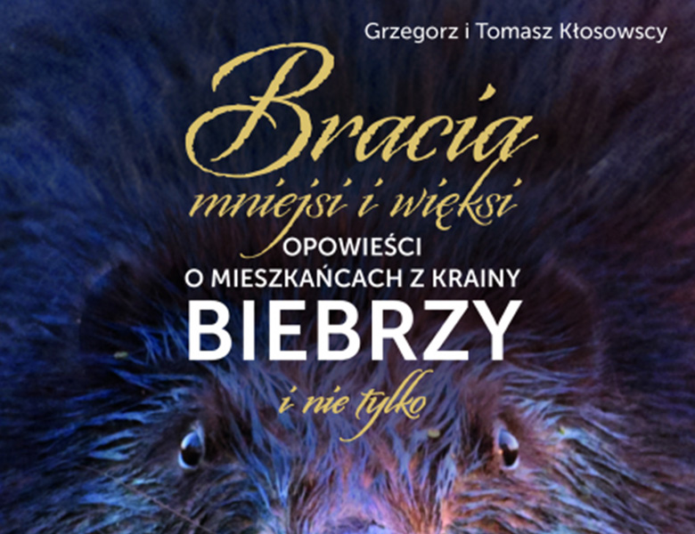 Biblioteka Podróży wokół Biebrzy. Spotkanie z Tomaszem Kłosowskim