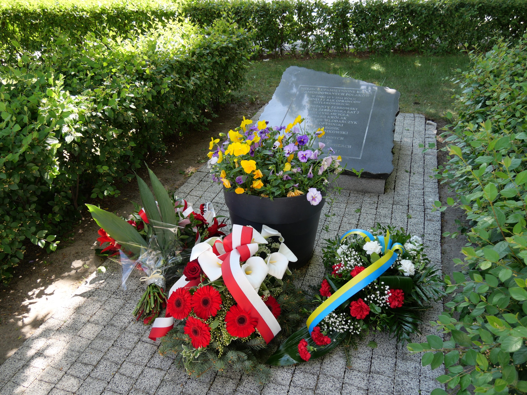 Na dworze. Tablica upamiętniająca. Za nią trawnik i krzewy. Przed nia donica z żółto-fioletowymi bratkami i trzy wiązanki z bialo-czerwonymi kwiatami