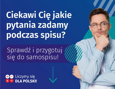 Pytania do Narodowego Spisu Powszechnego 2021 oraz demo formularza spisowego