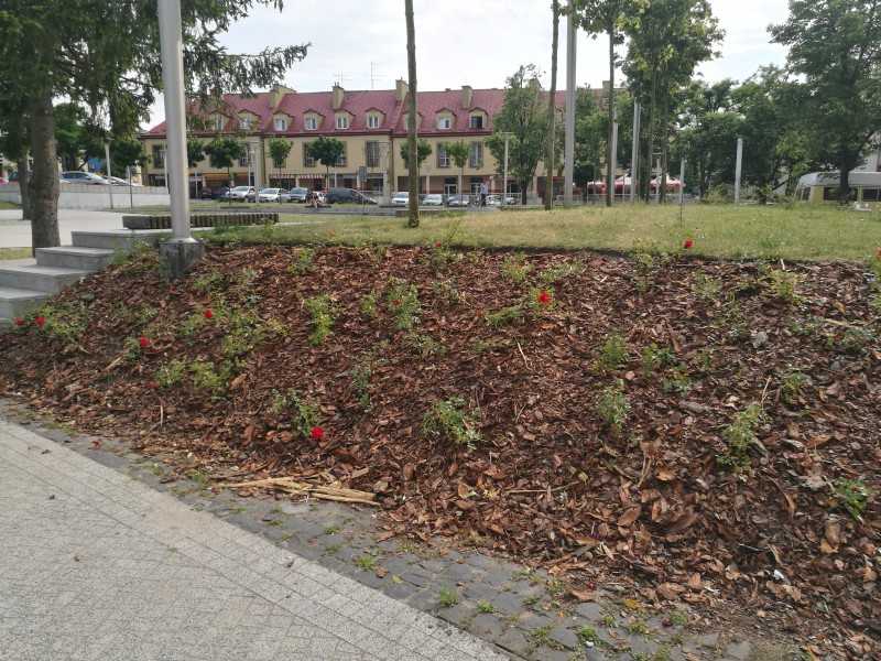 Rewitalizacja Placu Stary Rynek – postęp prac