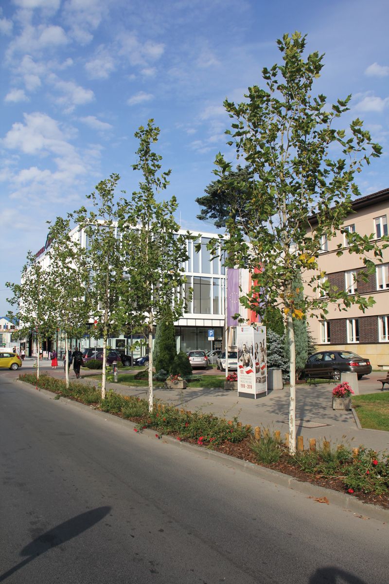 Zakończenie projektu