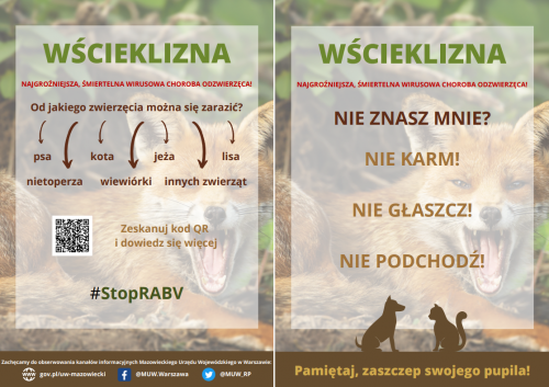 Infografika - wścieklizna