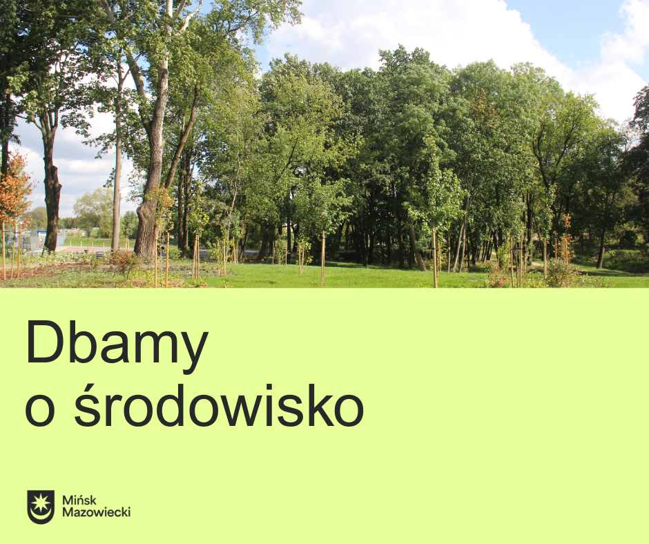 Na górze zdjęcie zielonych drzew. Na dole napis "dbamy o środowisko" na jasnozielonym tle.